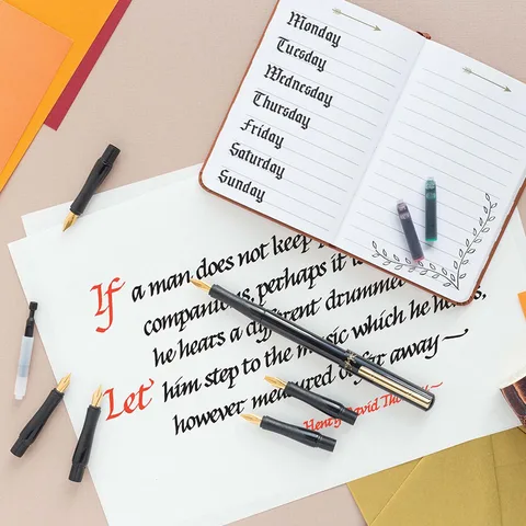 Набір для каліграфії Deluxe Calligraphy (ручка 6 пер 4 картириджи конвертер пенал) Manuscript — Photo 8