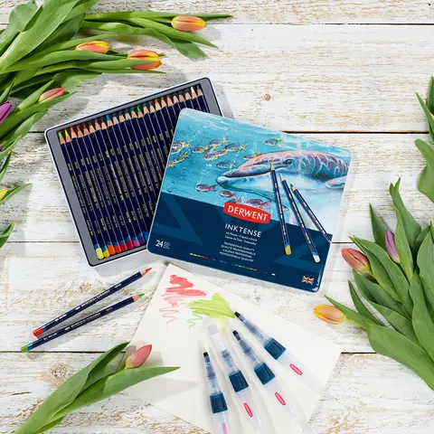Чорнильні олівці Inktense 24кол Derwent — Photo 11