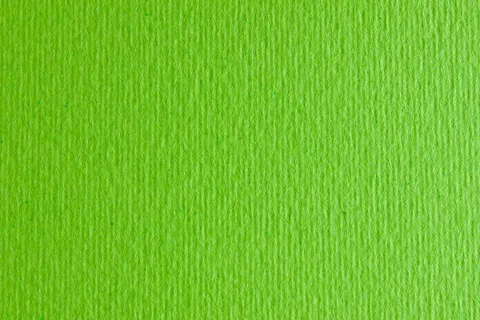 Папір для дизайну Elle Erre B1 (70×100см) №10 verde picello 220г/м2 салатовий Fabriano — Photo 1