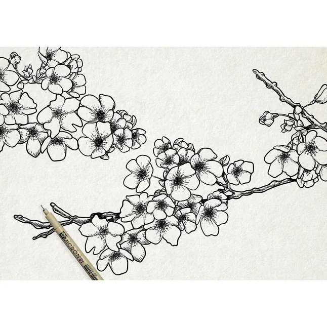 Набір лінерів PIGMA MICRON DESIGN 3шт., Sakura — Photo 2