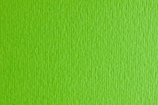 Папір для дизайну Elle Erre В2 (50×70см) №10 verde picello 220г/м2 салатовий Fabriano